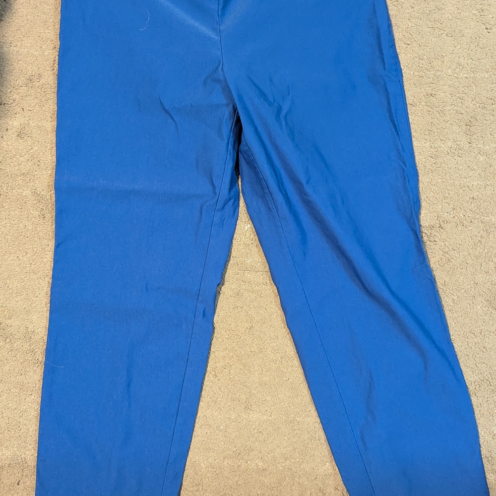 Cato Vibrant Blue Pants